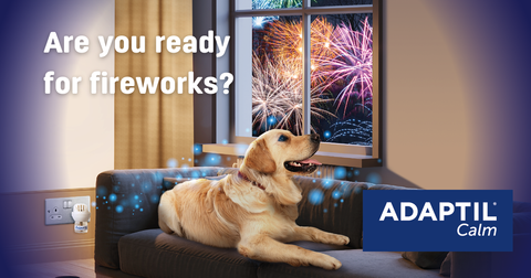 Being prepared - Are you ready for fireworks?
