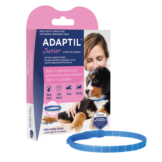 ADAPTIL Junior Collar
