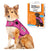 ThunderShirt Pink Calming Wrap – Limited Edition