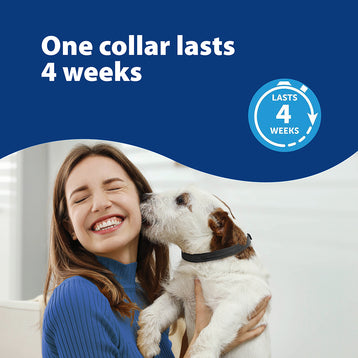 ADAPTIL Calm Collar