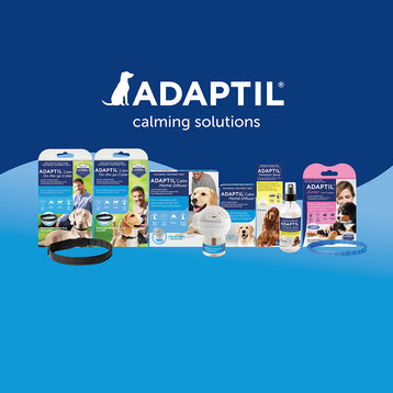 ADAPTIL Transport Spray