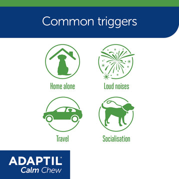 ADAPTIL Calm Chew