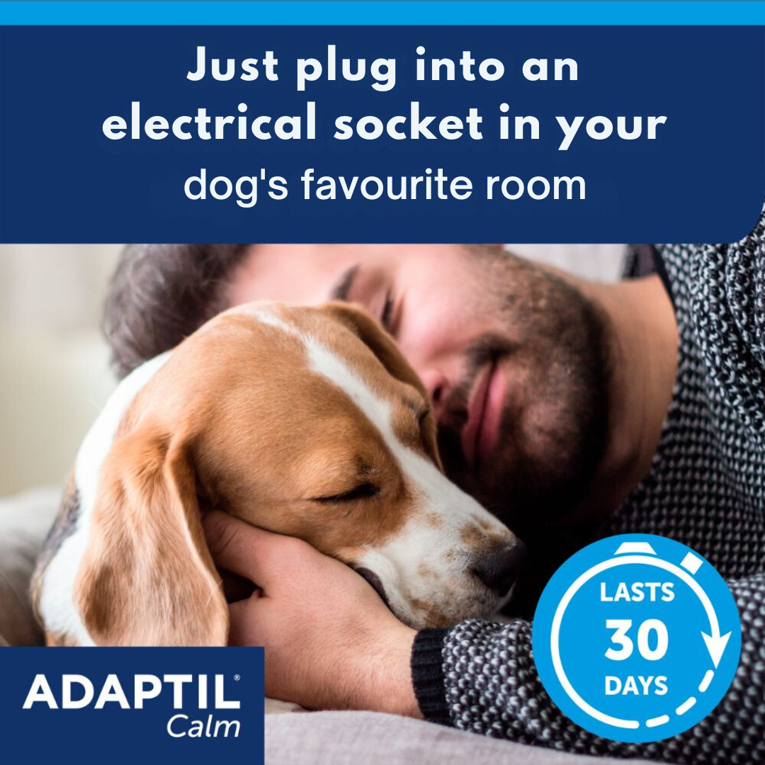 ADAPTIL Calm Diffuser Starter Kit | Dog Calming Plug-In Diffuser