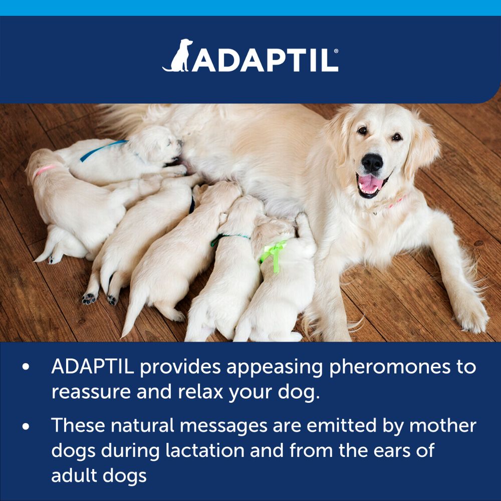 ADAPTIL Calm Diffuser Starter Kit | Dog Calming Plug-In Diffuser