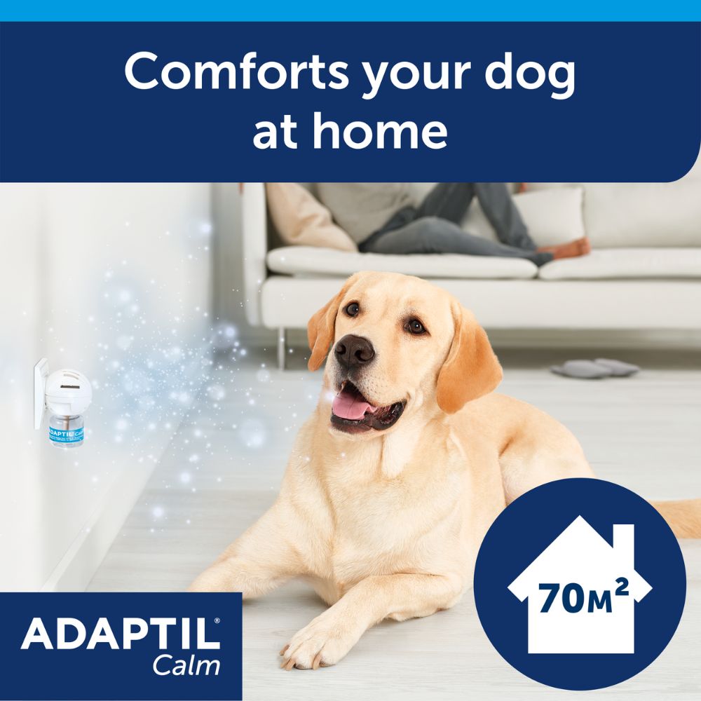 ADAPTIL Calm Diffuser Starter Kit | Dog Calming Plug-In Diffuser