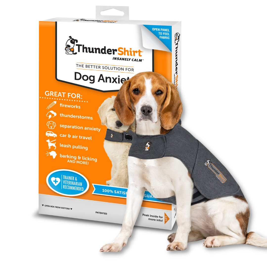Best dog thundershirt hot sale