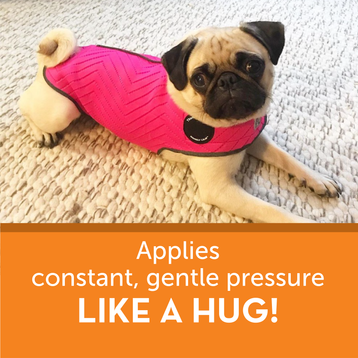 ThunderShirt Pink Calming Wrap – Limited Edition