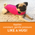 ThunderShirt Pink Calming Wrap – Limited Edition